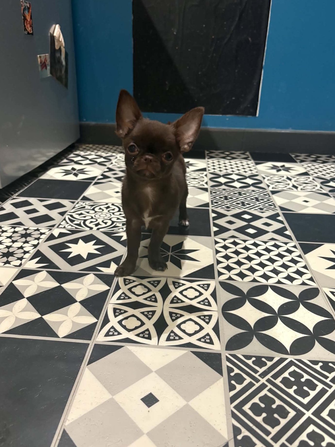 Nos bébés — photo 3