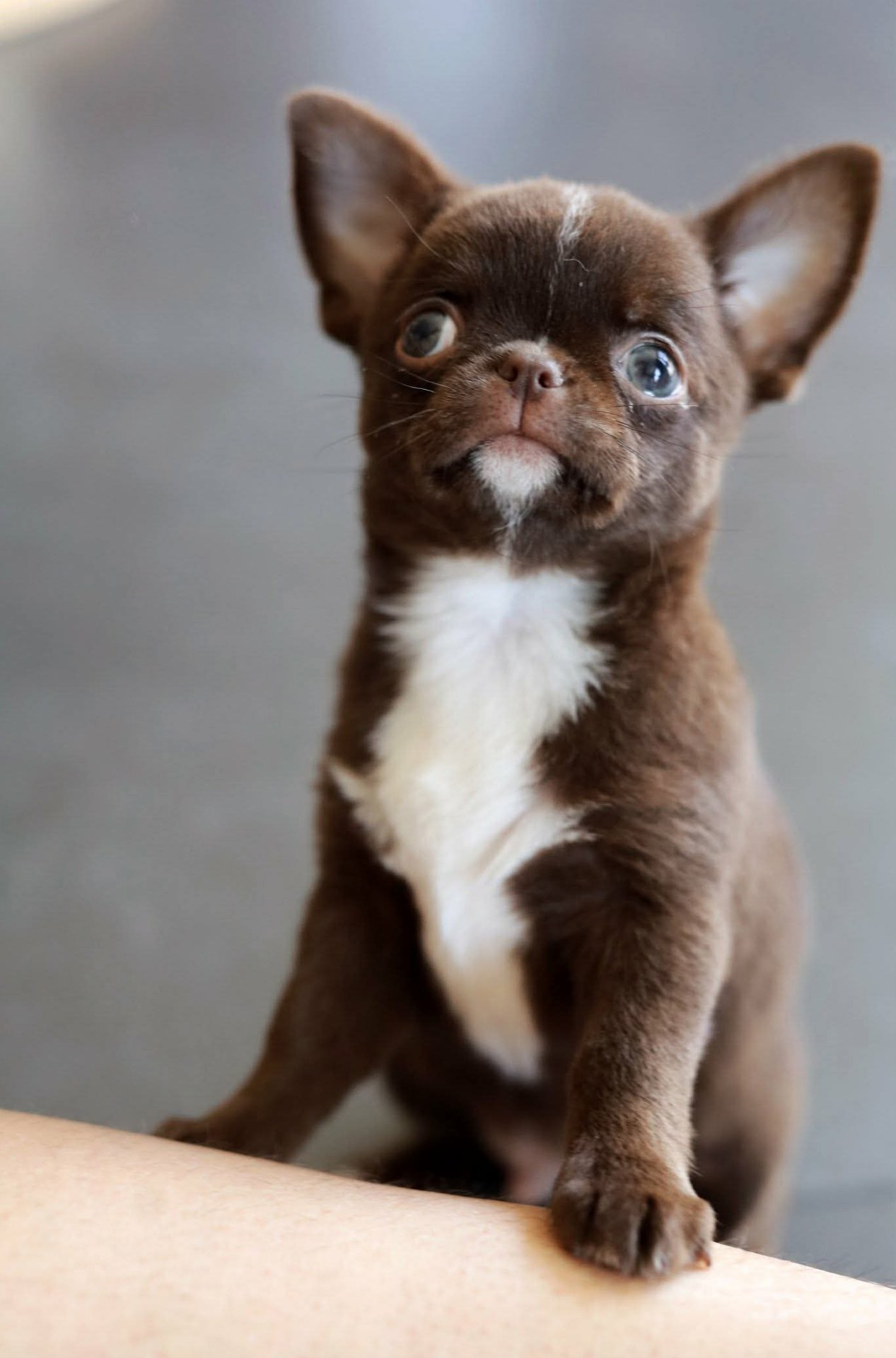 Nos bébés — photo 4