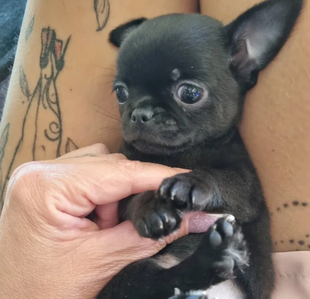 Nos bébés — photo 10