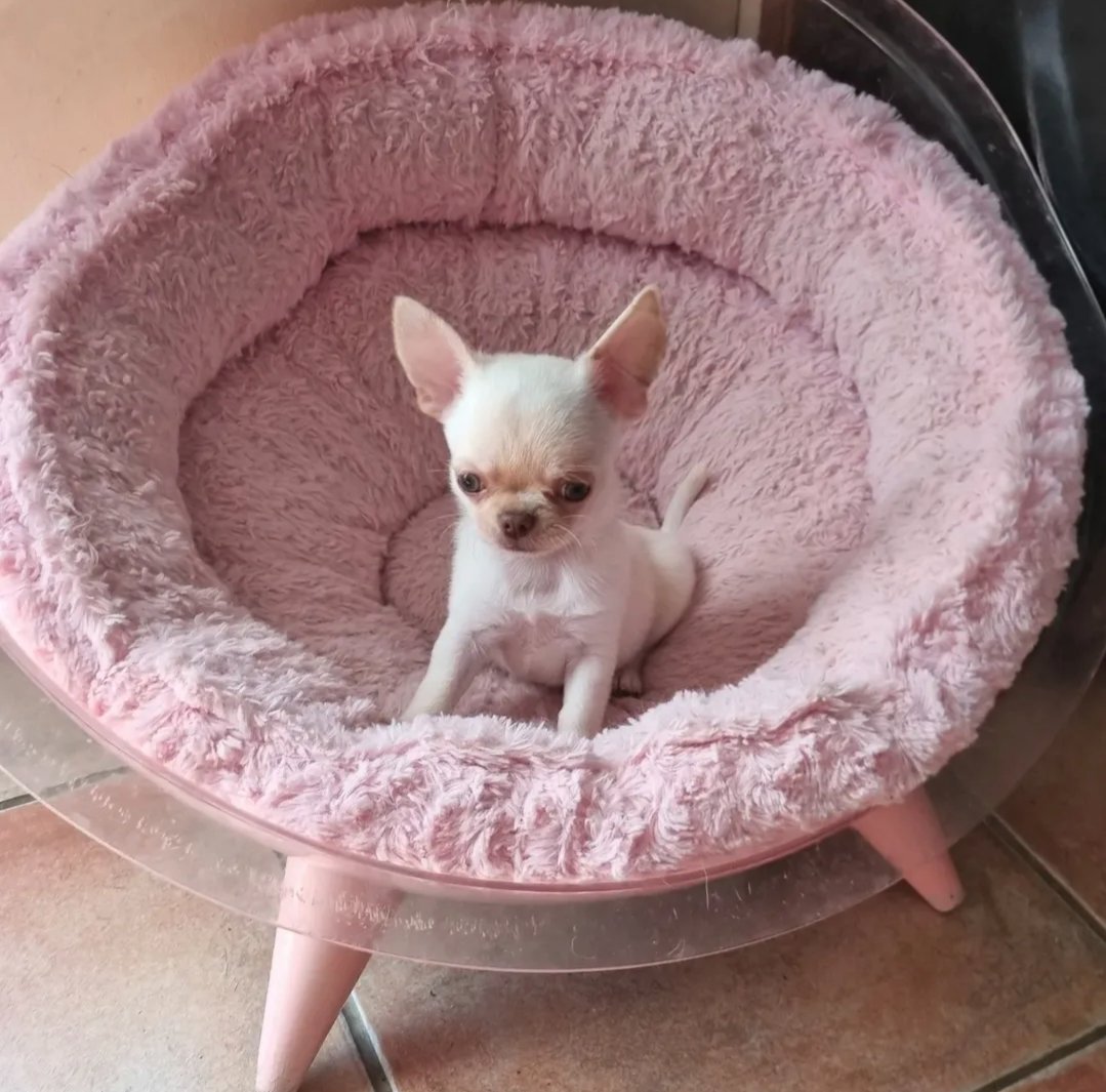 Nos bébés — photo 11