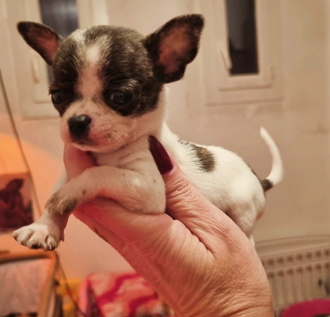 Nos bébés — photo 12