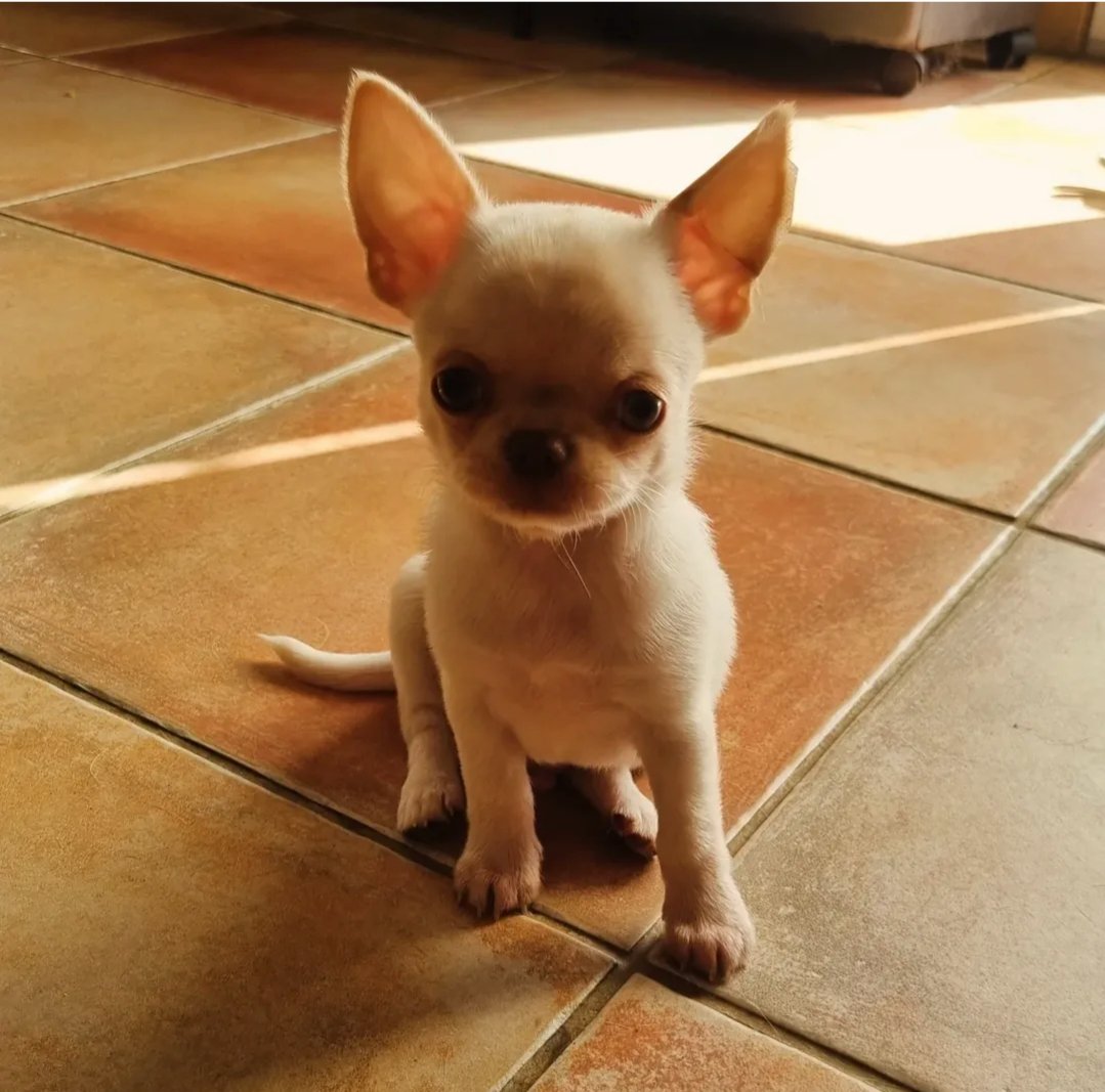 Nos bébés — photo 13