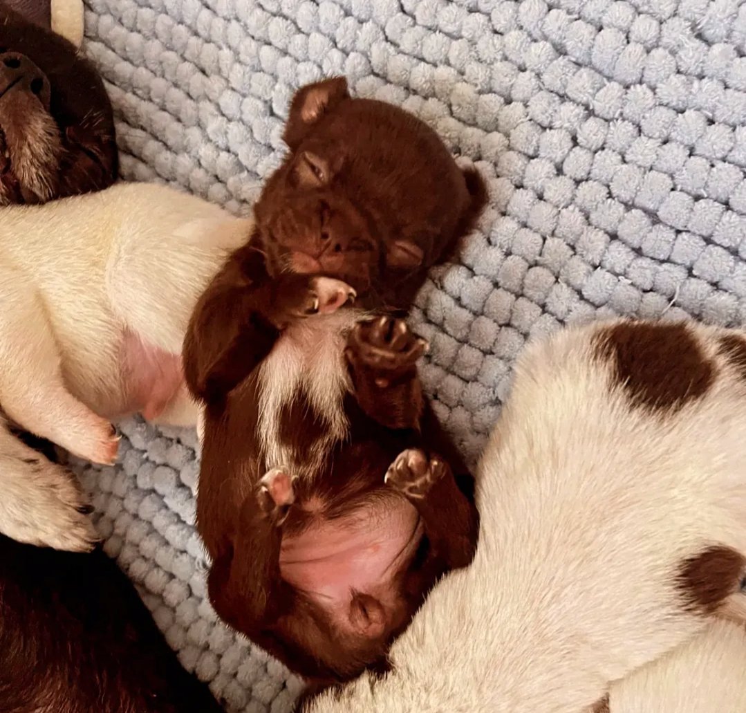 Nos bébés — photo 19