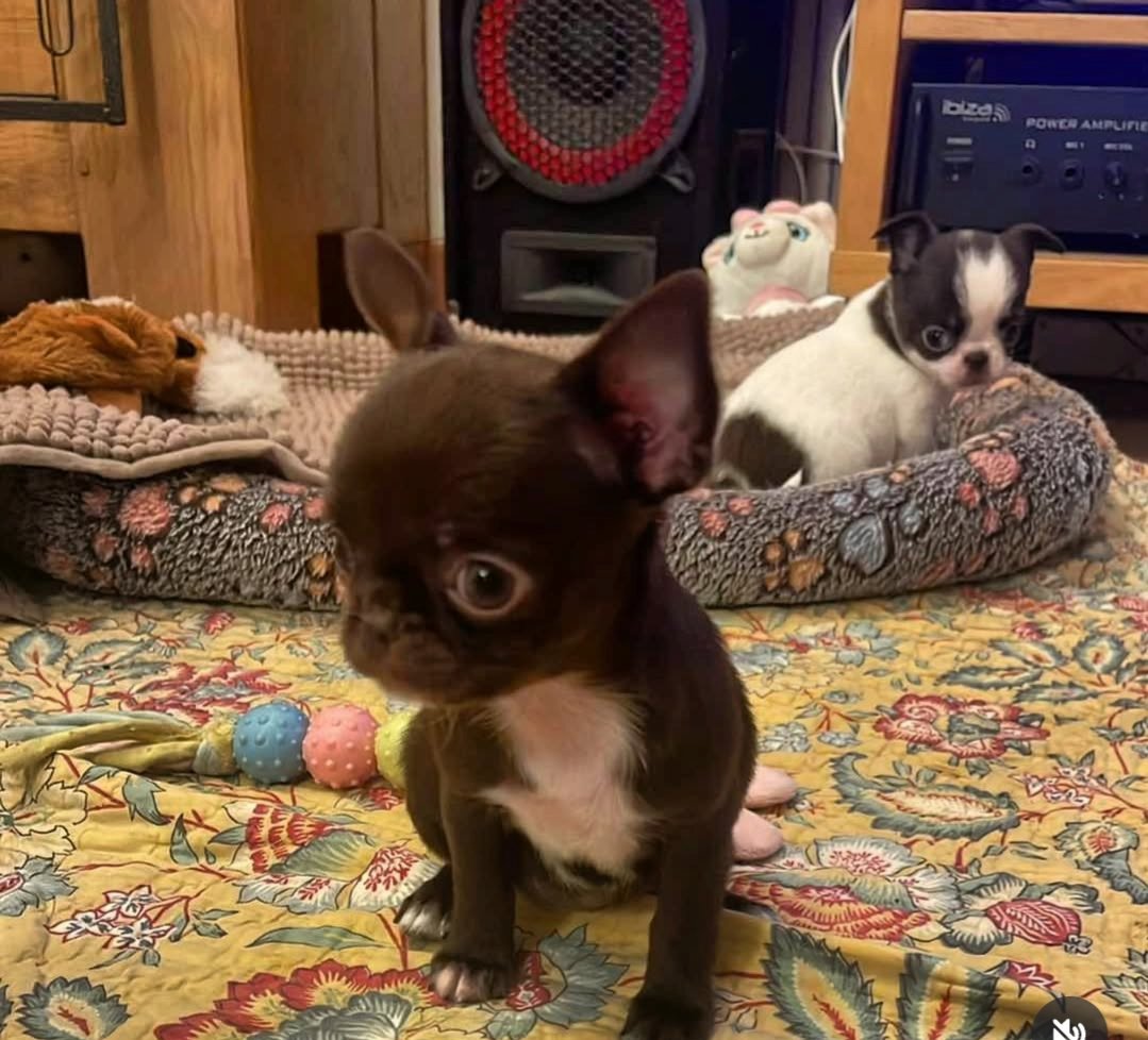 Nos bébés — photo 20