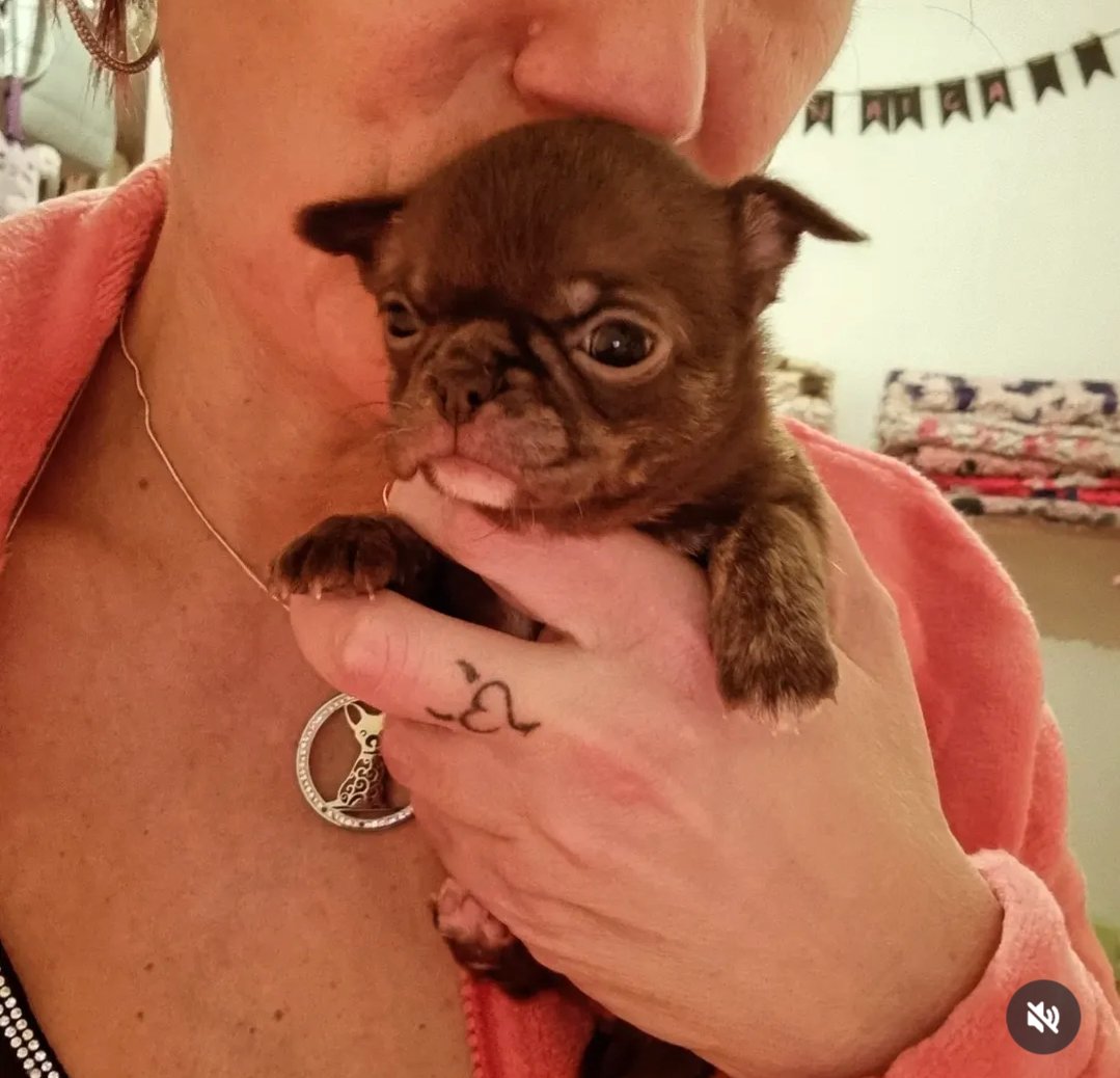 Nos bébés — photo 22