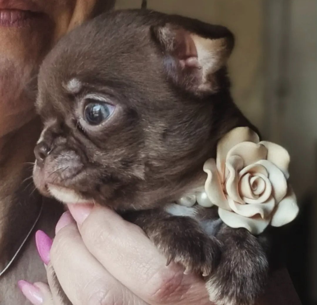 Nos bébés — photo 23