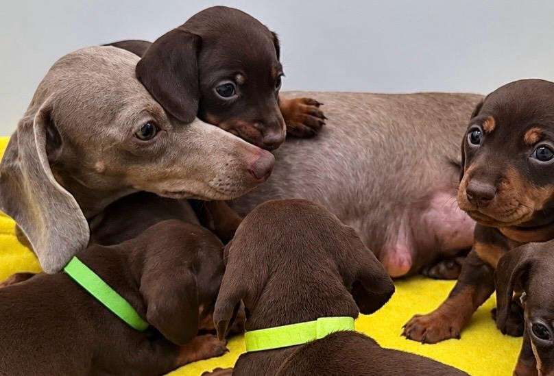 Nos babies — photo 4
