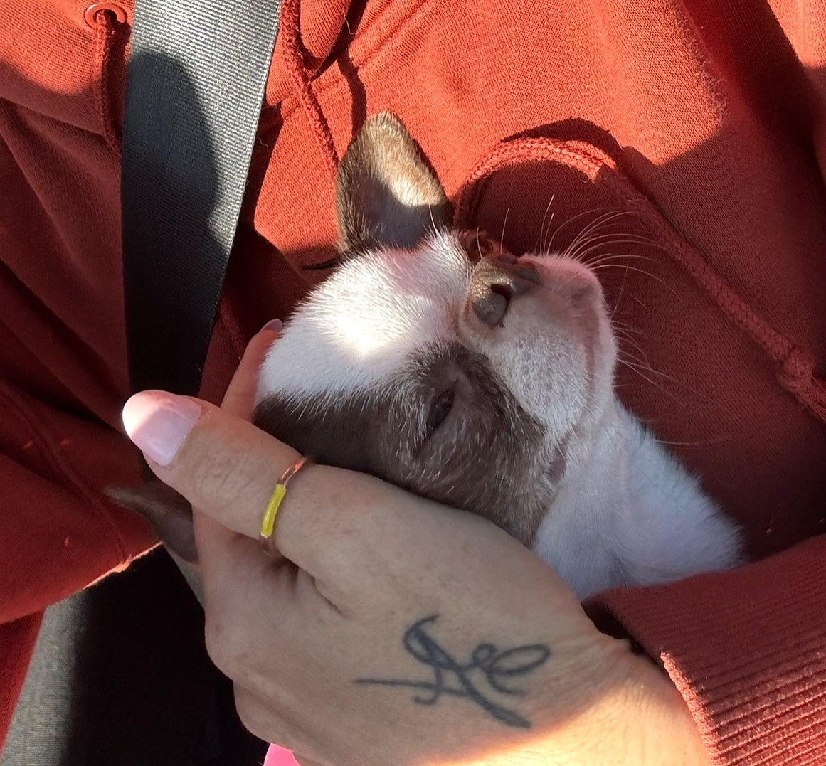 Notre vie ensemble — photo 11