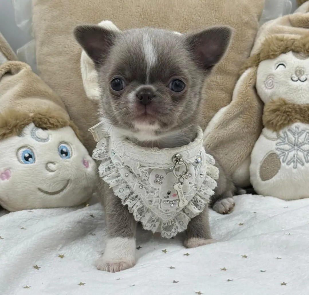 Nos bébés — photo 2