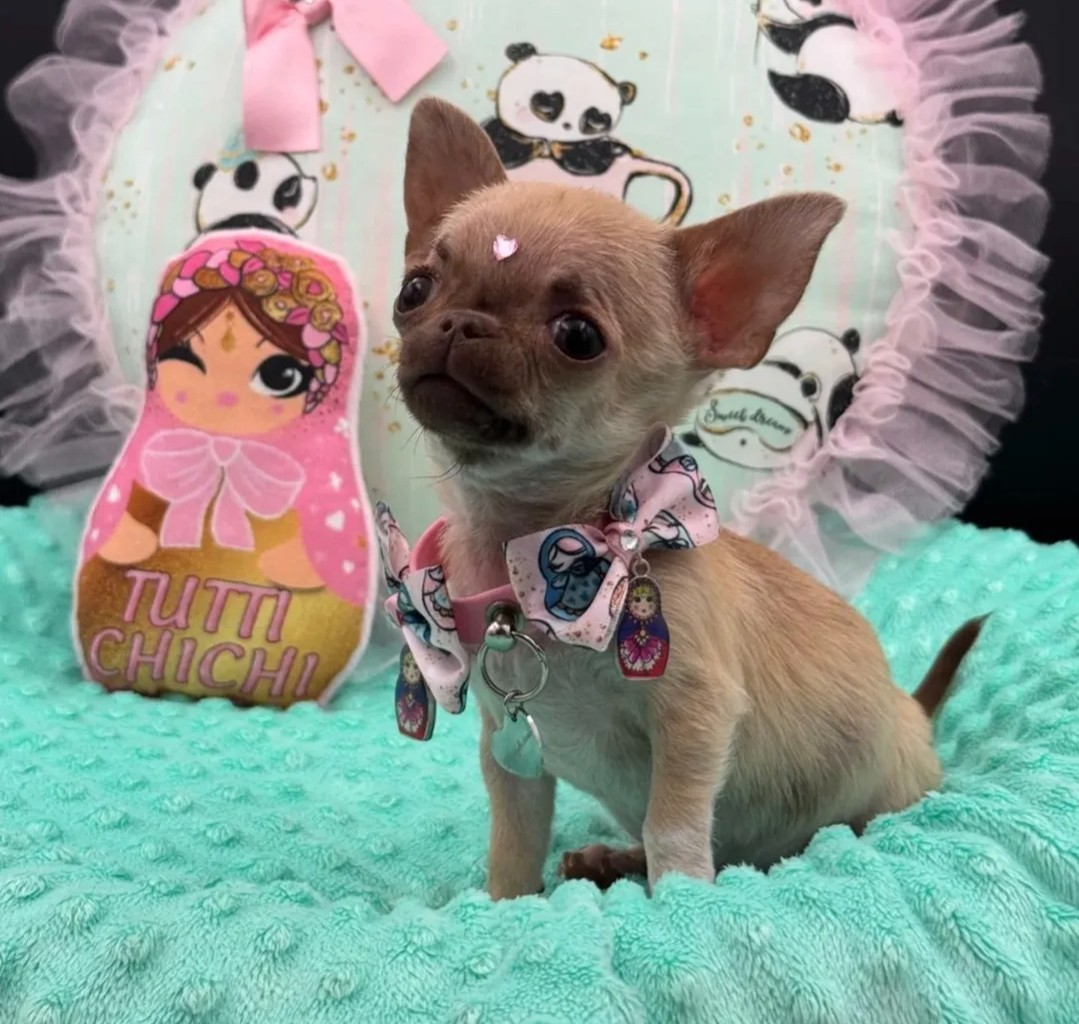 Nos bébés — photo 3