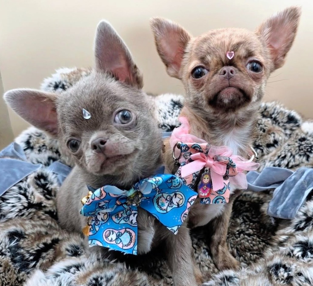 Nos bébés — photo 4