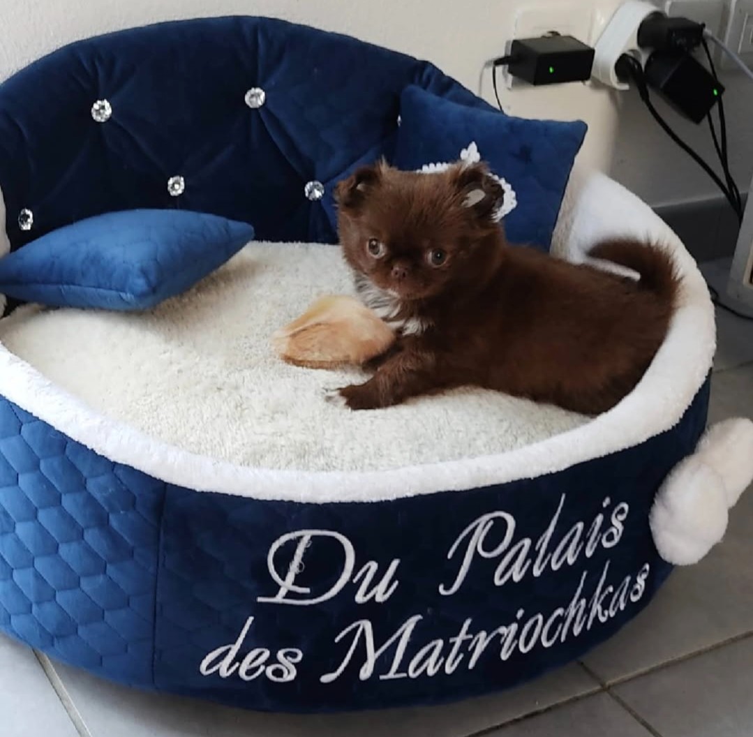 Nos bébés — photo 8