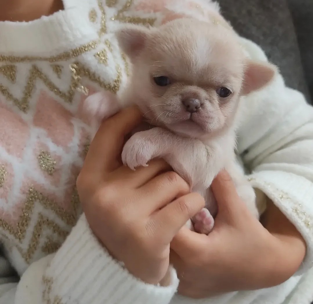 Nos bébés — photo 9