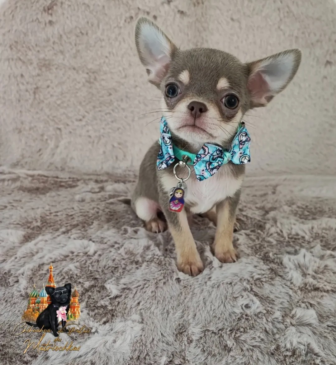 Nos bébés — photo 11