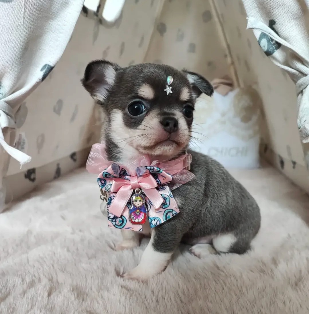 Nos bébés — photo 12