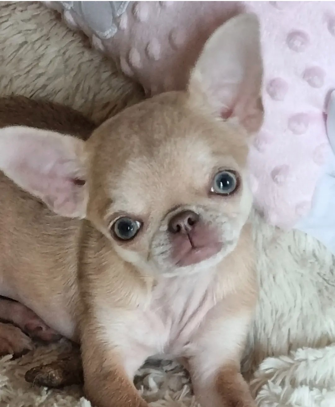 Nos bébés — photo 13