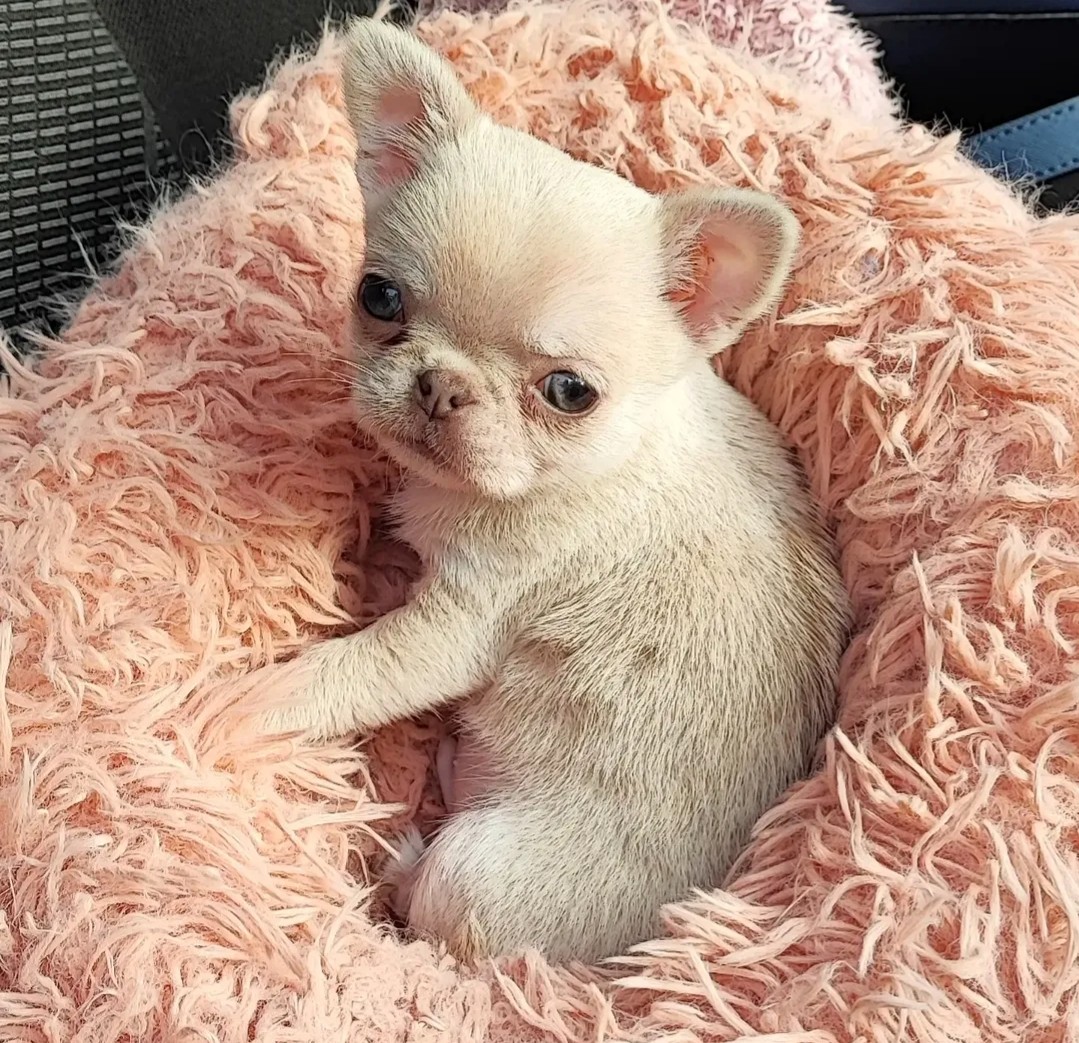 Nos bébés — photo 14