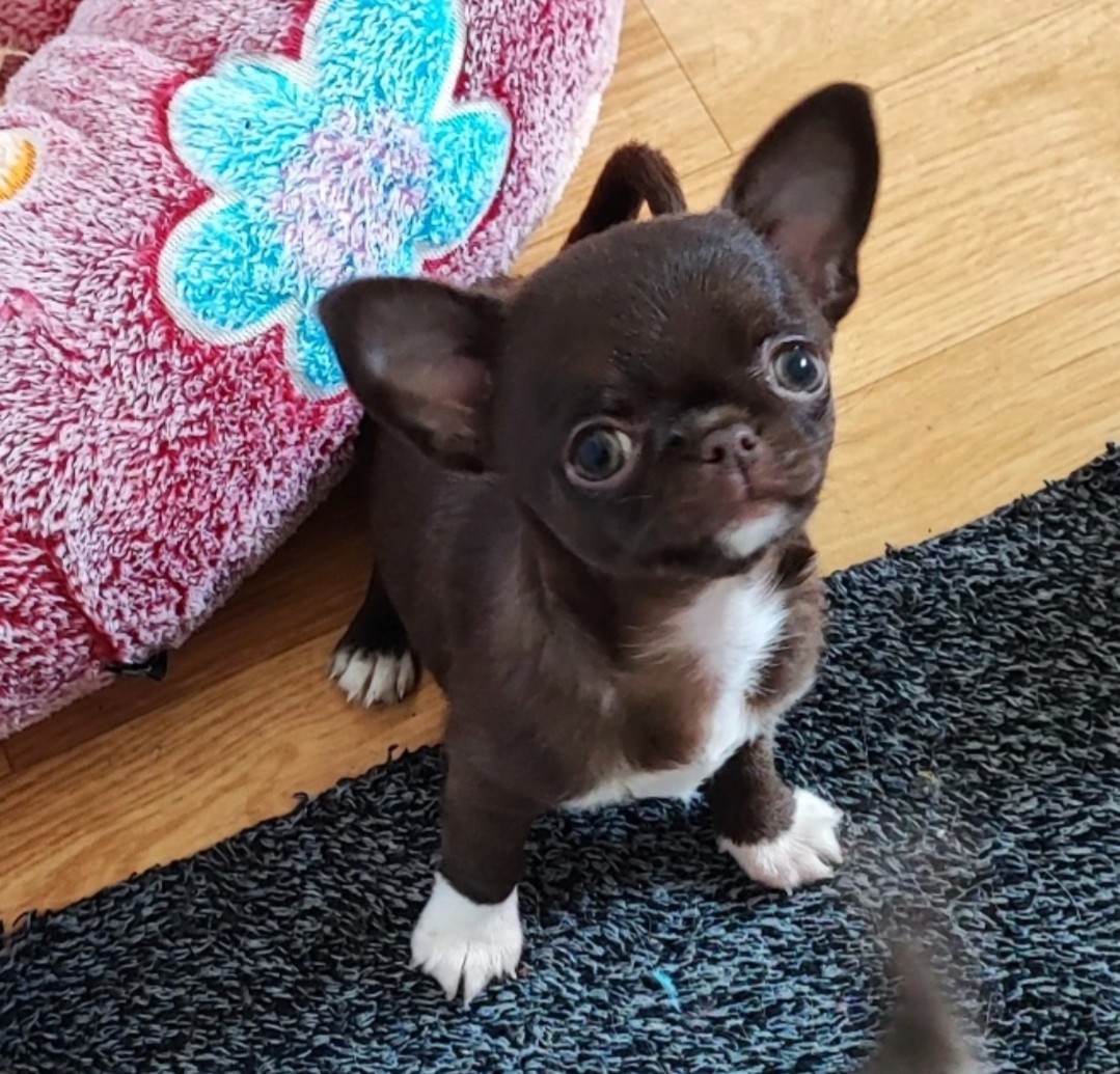 Nos bébés — photo 16