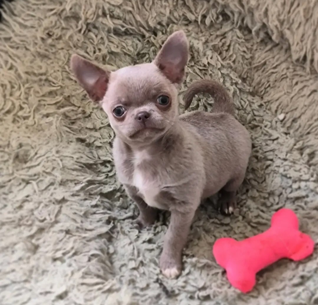 Nos bébés — photo 17
