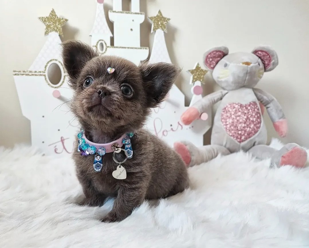 Nos bébés — photo 18