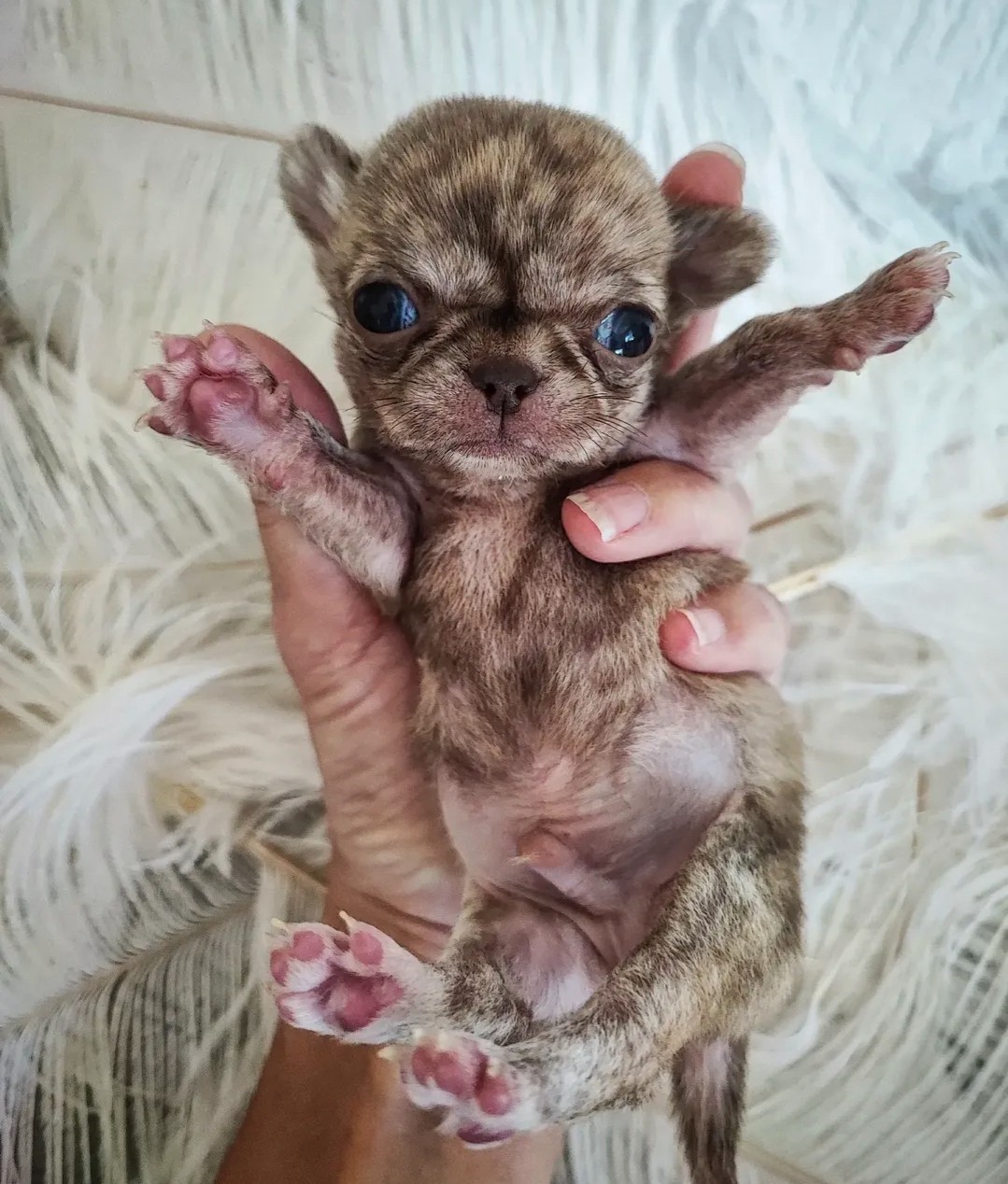 Nos bébés — photo 19