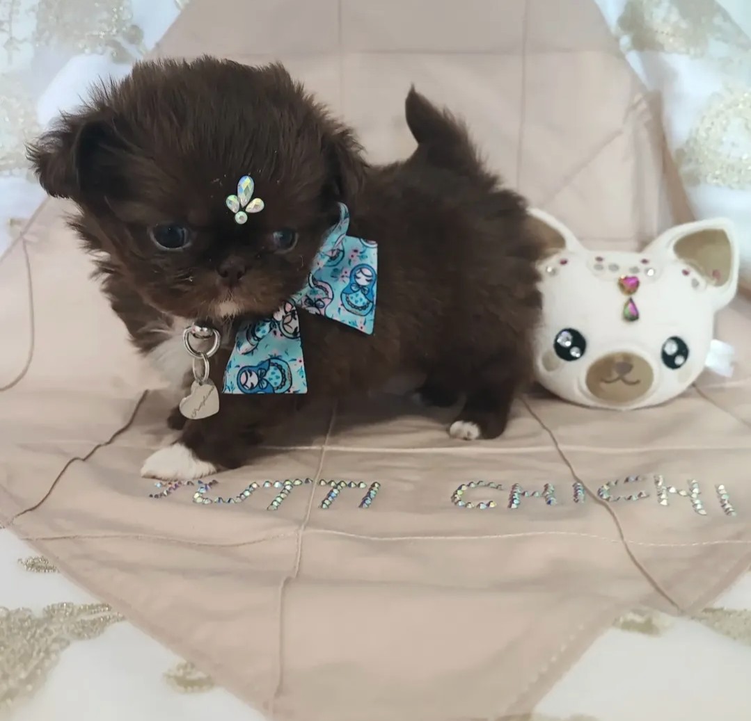 Nos bébés — photo 26