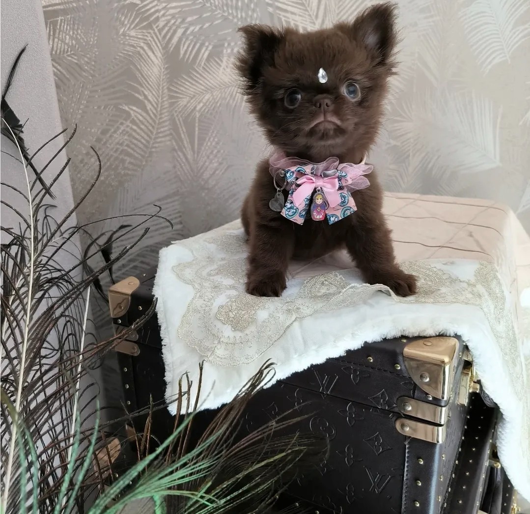 Nos bébés — photo 28