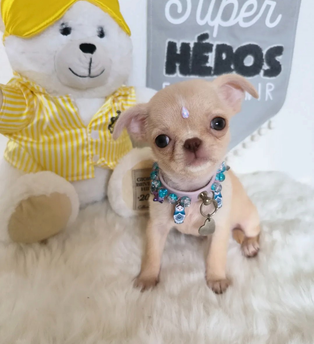 Nos bébés — photo 27
