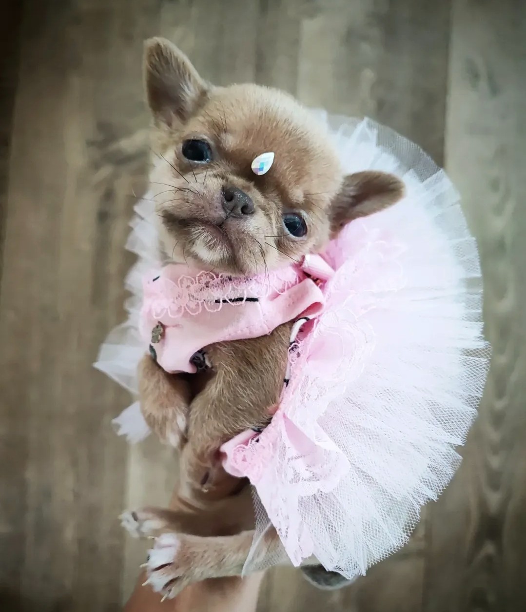 Nos bébés — photo 30