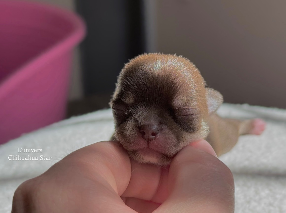 Nos bébés 🍼 — photo 2