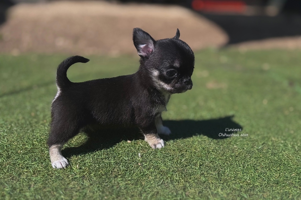 Nos bébés 🍼 — photo 3