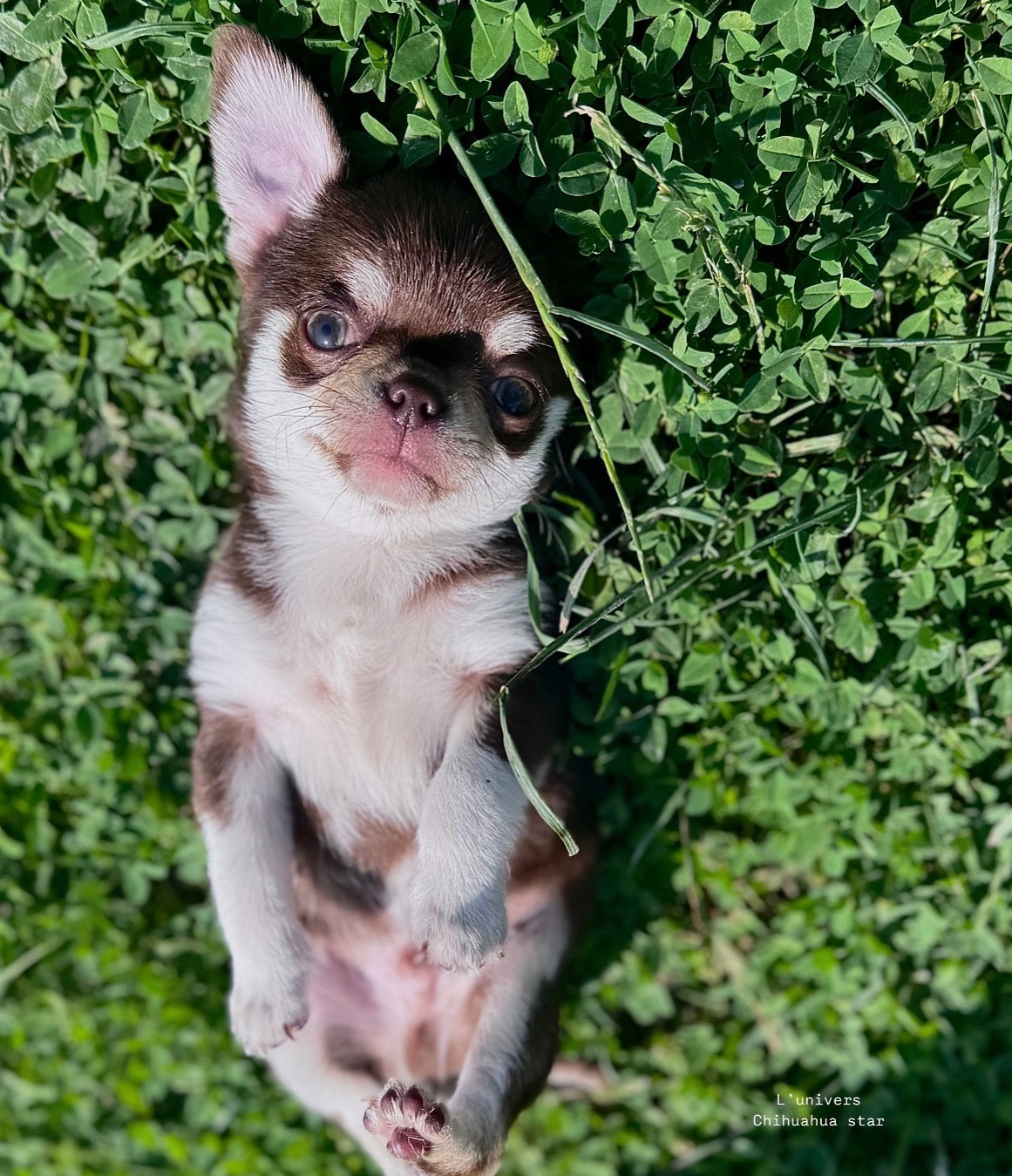 Nos bébés 🍼 — photo 4