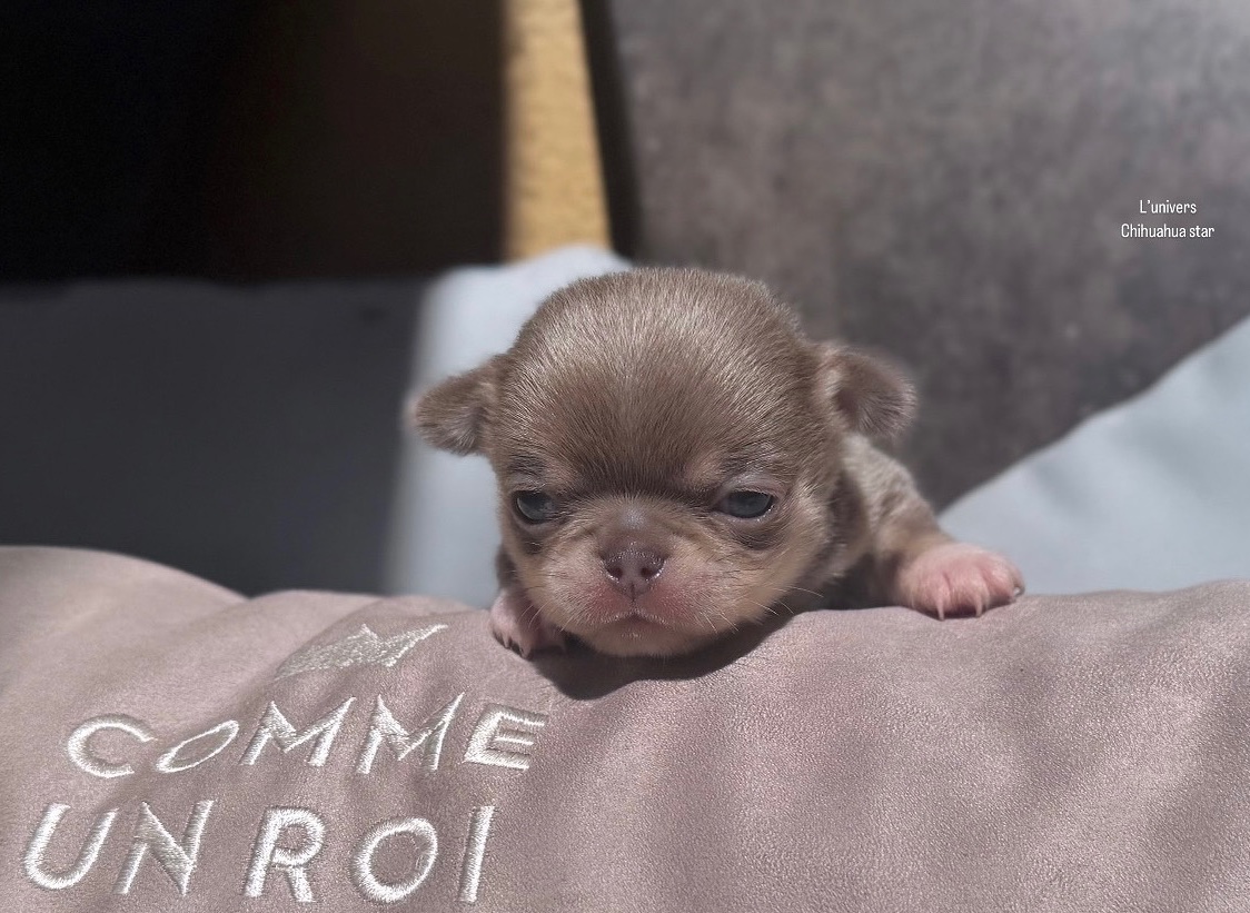 Nos bébés 🍼 — photo 5