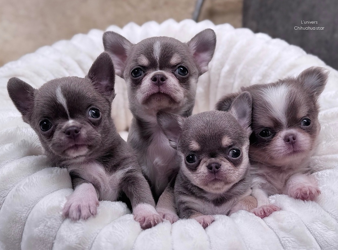 Nos bébés 🍼 — photo 6