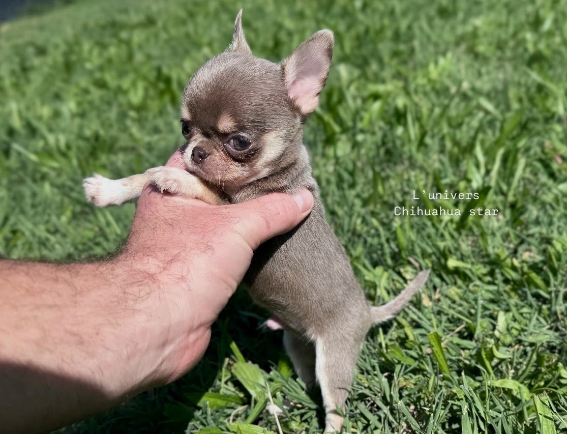 Nos bébés 🍼 — photo 7