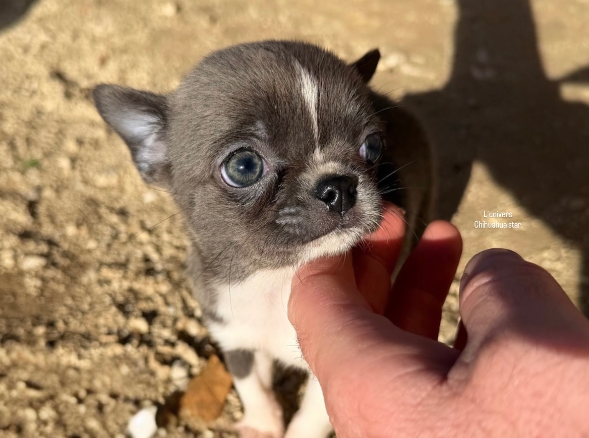 Nos bébés 🍼 — photo 8