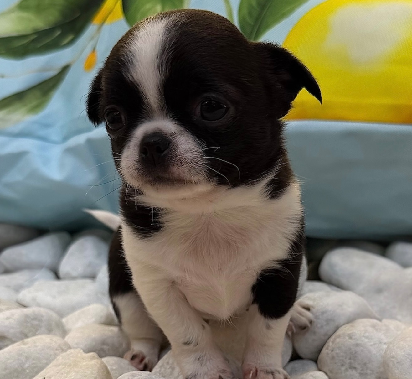 Nos bébés 🍼 — photo 9