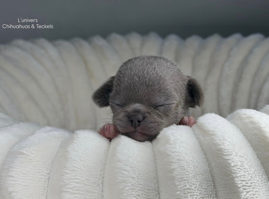 Nos bébés 🍼 — photo 10