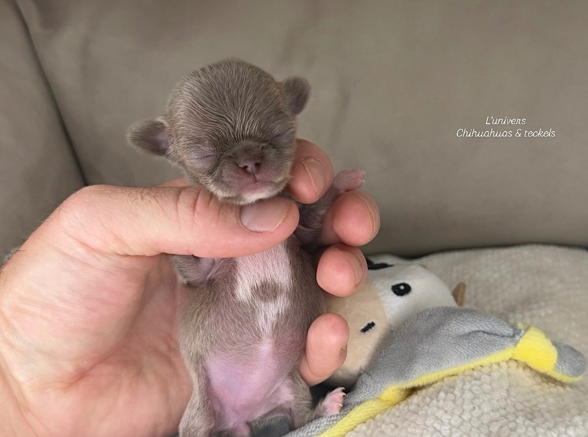 Nos bébés 🍼 — photo 11