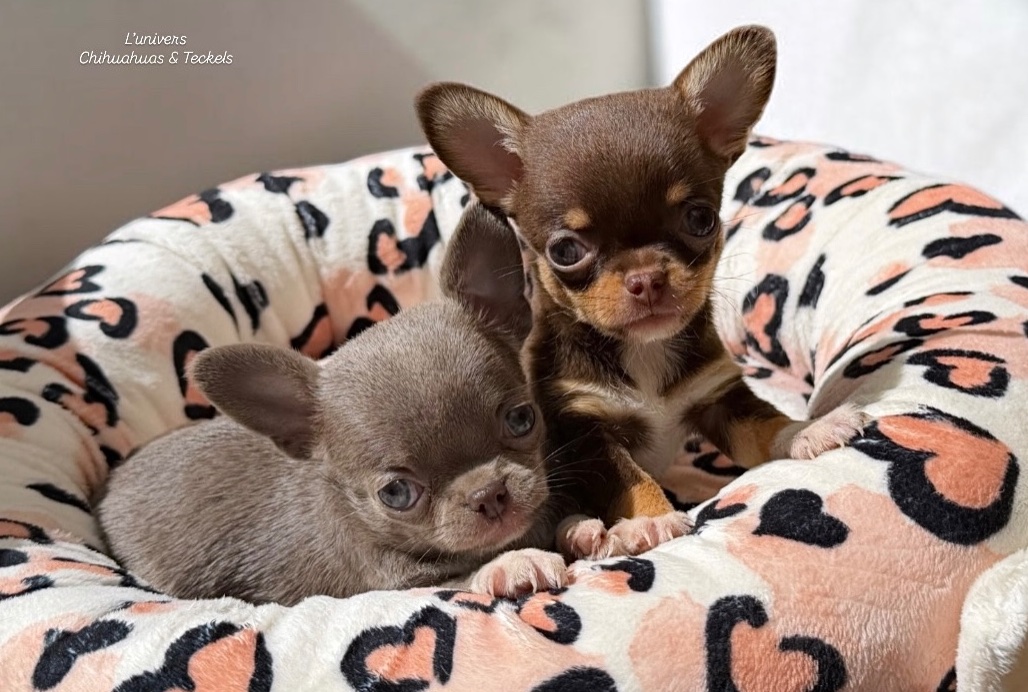 Nos bébés 🍼 — photo 12
