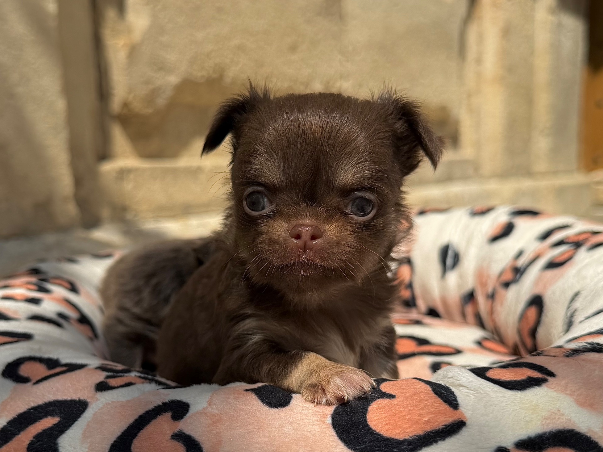 Nos bébés 🍼 — photo 13
