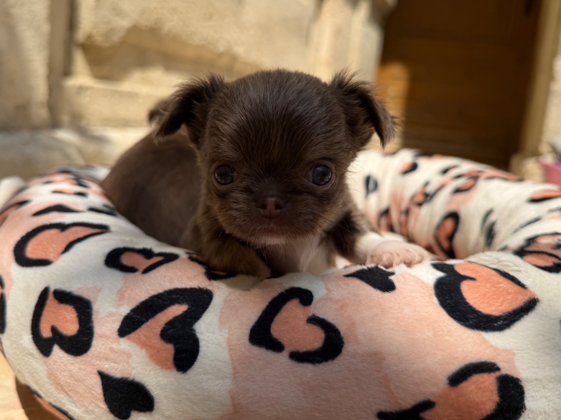 Nos bébés 🍼 — photo 14
