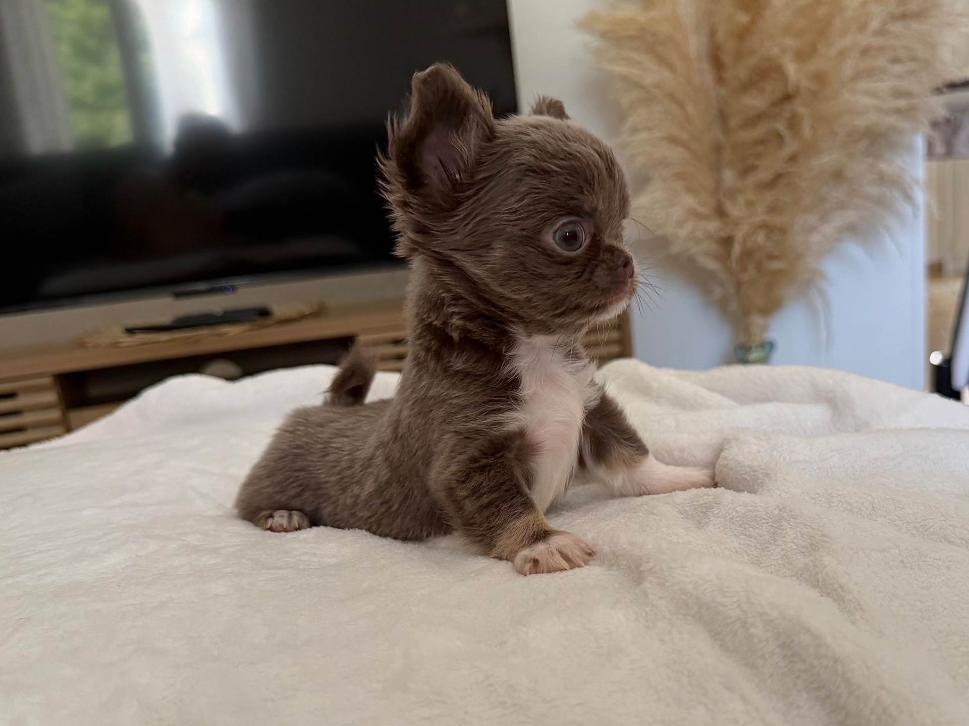 Nos bébés 🍼 — photo 15