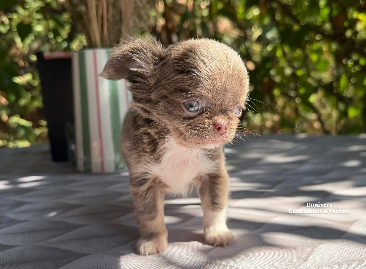 Nos bébés 🍼 — photo 16