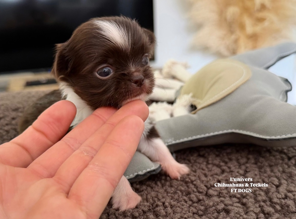 Nos bébés 🍼 — photo 18