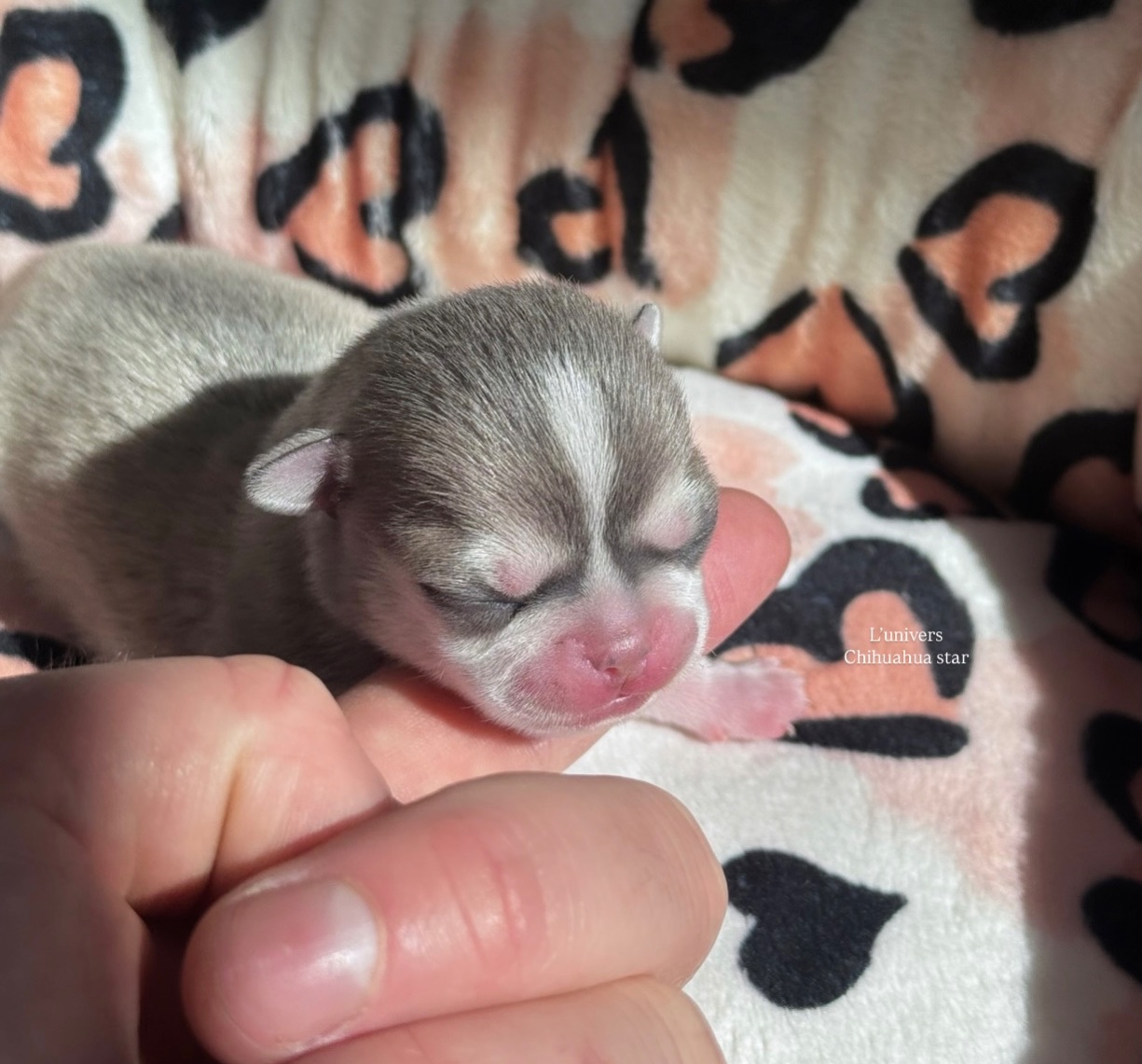 Nos bébés 🍼 — photo 19