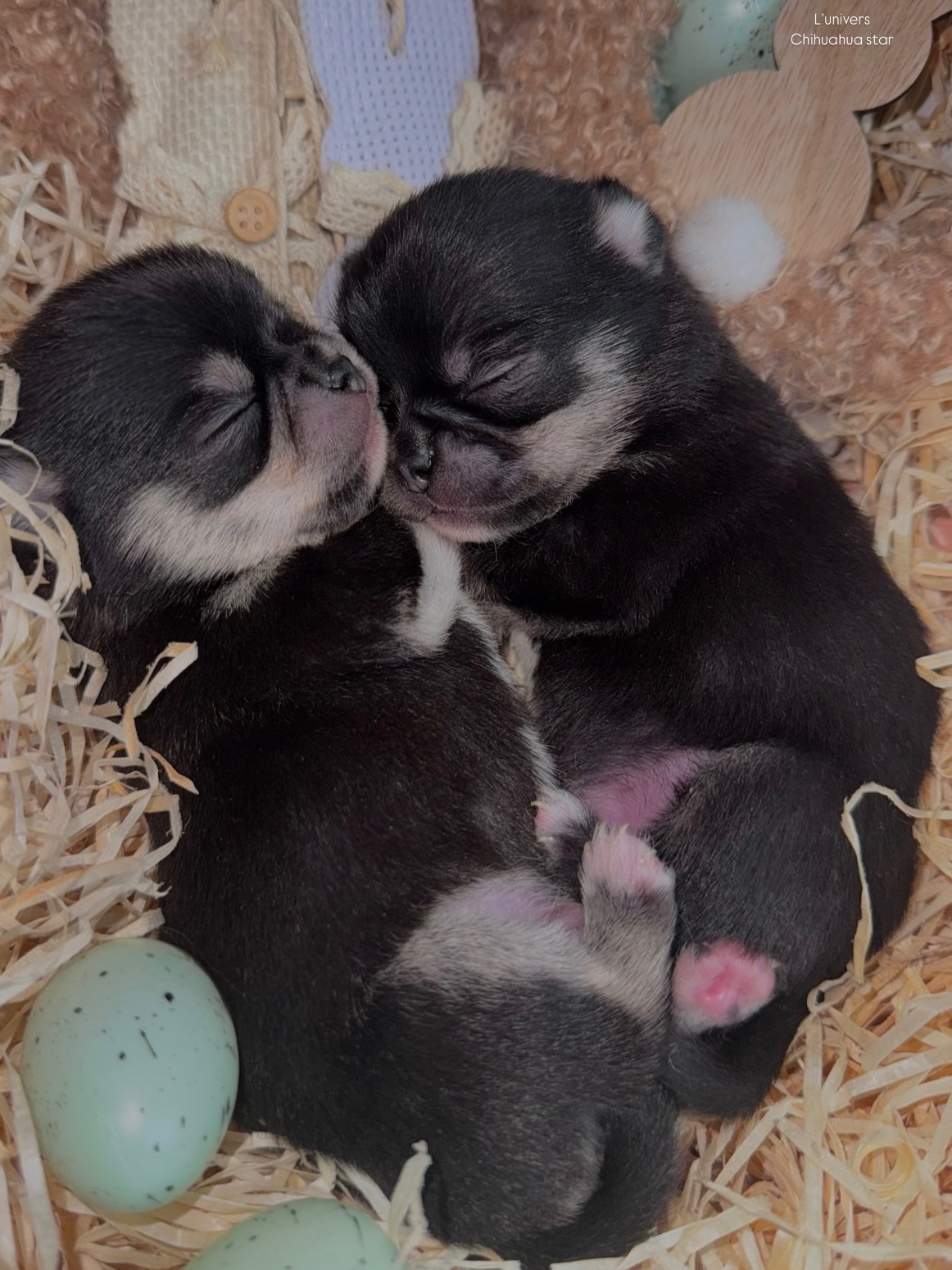 Nos bébés 🍼 — photo 20