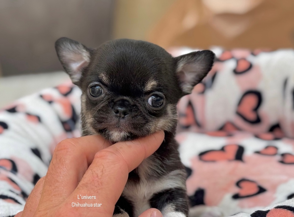 Nos bébés 🍼 — photo 21
