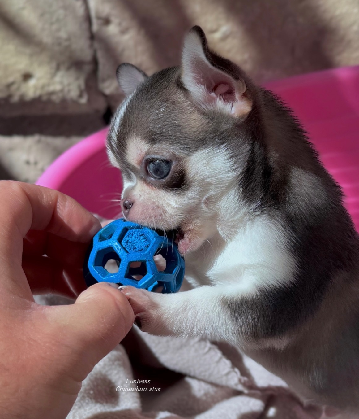 Nos bébés 🍼 — photo 22