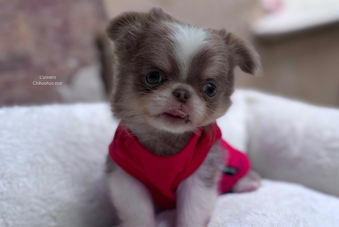 Nos bébés 🍼 — photo 23